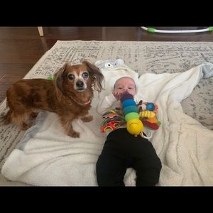 Meet your Posher, Michelle